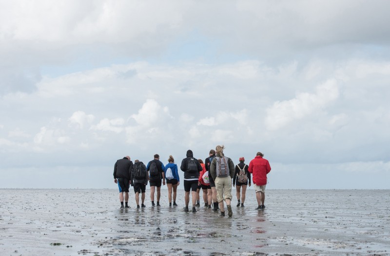 Strand-Wadlopen.jpg