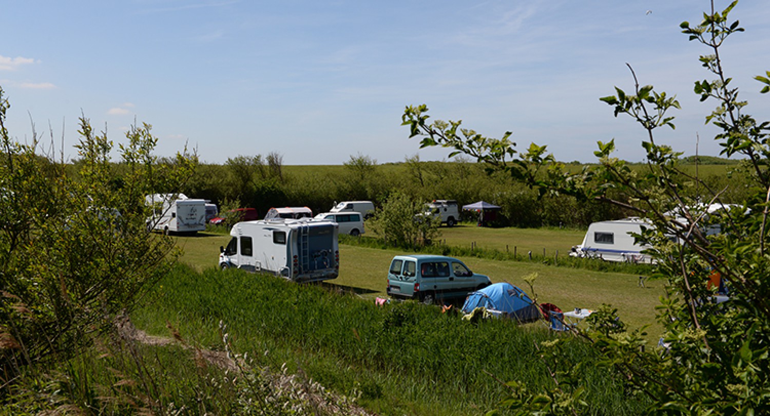 kampeerplaats-robbenjager-01.jpg