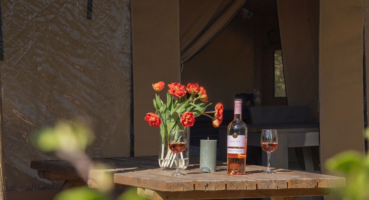 Glamping_LagunaBeachTexel_0104.jpg