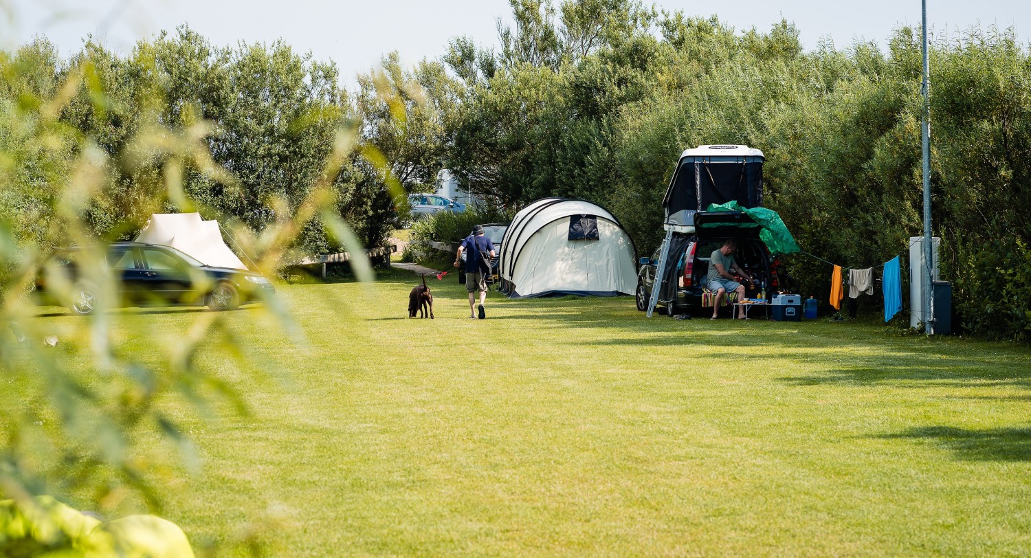 Tentplaatsen hond.jpg