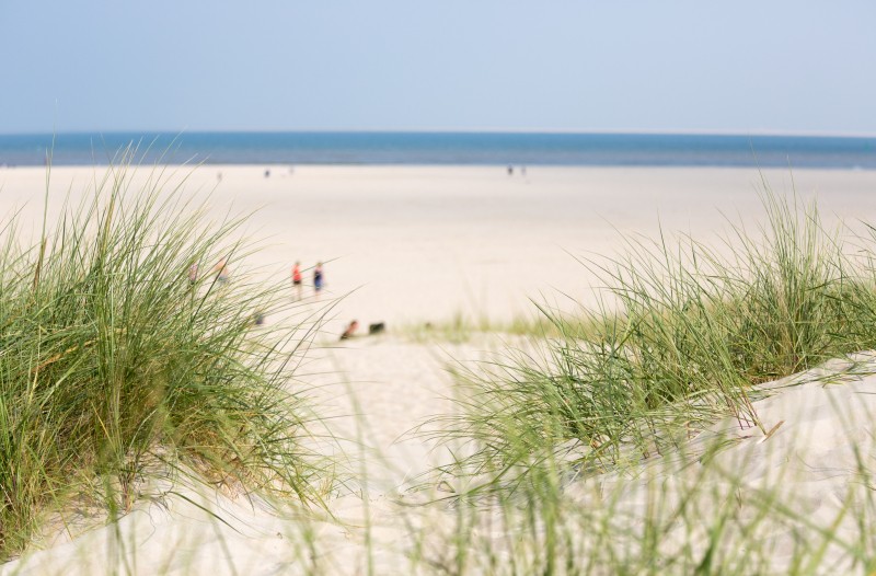 Strand Texel.jpg