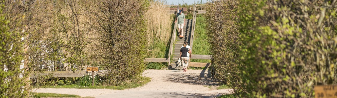Robbenjager_Sfeerbeelden_april_27_StefanKrofft-2019.jpg