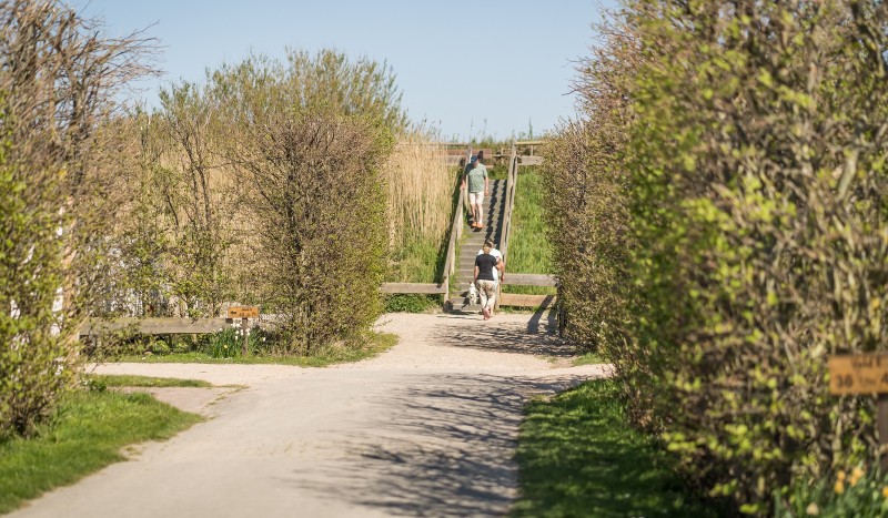 Robbenjager_Sfeerbeelden_april_27_StefanKrofft-2019.jpg