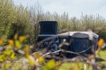 campers_LagunaBeachTexel_0027.jpg