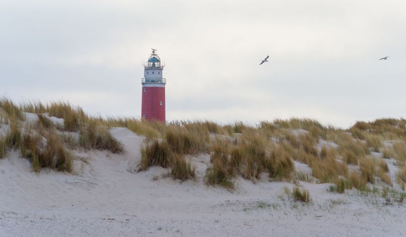 20260424_LagunaBeachTexel_0003.jpg