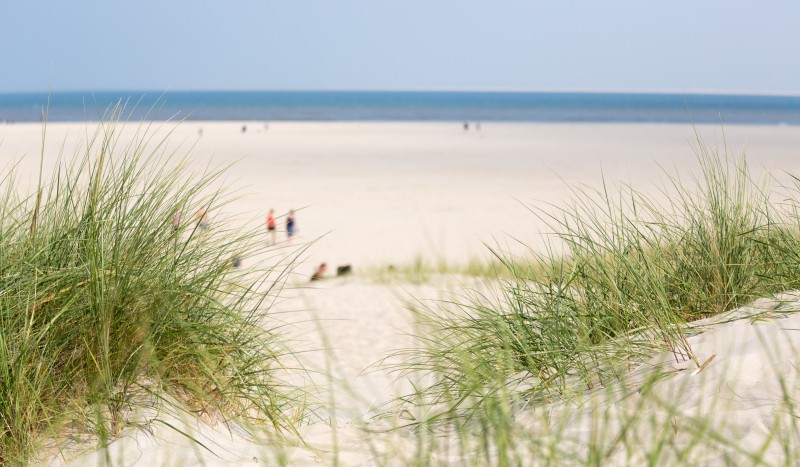 Strand Texel.jpg